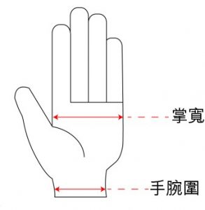 手掌寬度測量
